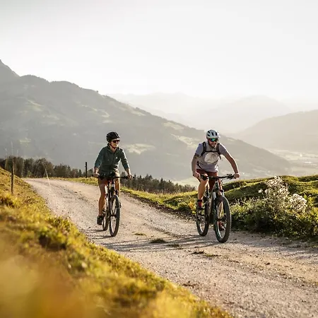 酒店 菲舍酒店 3*
